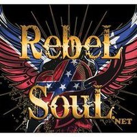 Rebel Soul Rocks(@RebelSoulRocks) 's Twitter Profile Photo