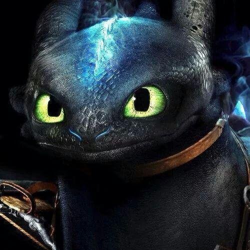 I am a Night Fury.My class friend is Skrill.My Best friend name is Hiccup and i love him.My best dragon friend is Stormfly.My favourite food is Brown Trout.