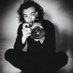 HARRY (@freefollowtho3) Twitter profile photo