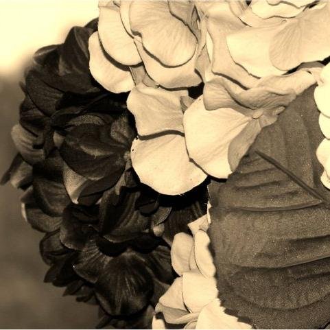 Somos amantes de las flores, nos fascina la decoración y el diseño. Vendemos detalles y hacemos tus eventos de acuerdo a tu presupuesto. Conócenos!