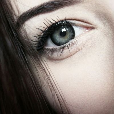 lsbidd's profile picture. 