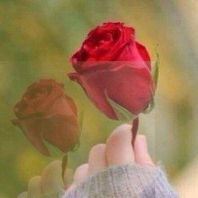 ‏♥ إذا لم تكن تعرفني فلا تتحدّث عني بالسوء، وإذا لم تتعامل معي فلا تحكم عليّ، وإذا سمعت عنّي دون أن تقابلني فلا تعتبر إنك تعرفني ♥