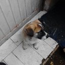 Jesus Edel Rodriguez - @JesusEdel777 - Twitter