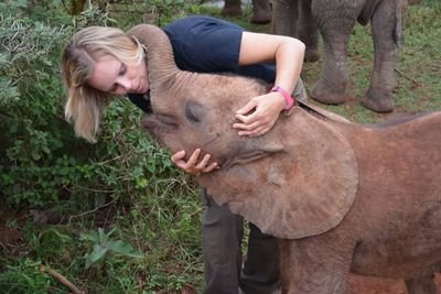 Director Planned Giving, Animal Care Sanctuary and District Leader Volunteer, The Humane Society of the United States