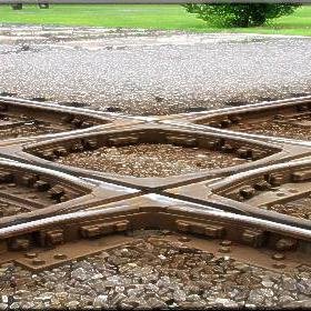 seaboardfest's profile picture. 