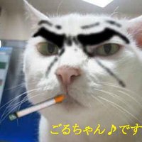 ごるちゃん (@golgo553) Twitter profile photo