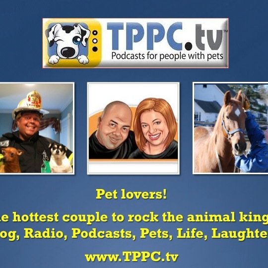 Pets Teach Us So Much Radio Show hosted by Joseph & Robbin Everett on iTunes. Animal advocates, product influencers.
