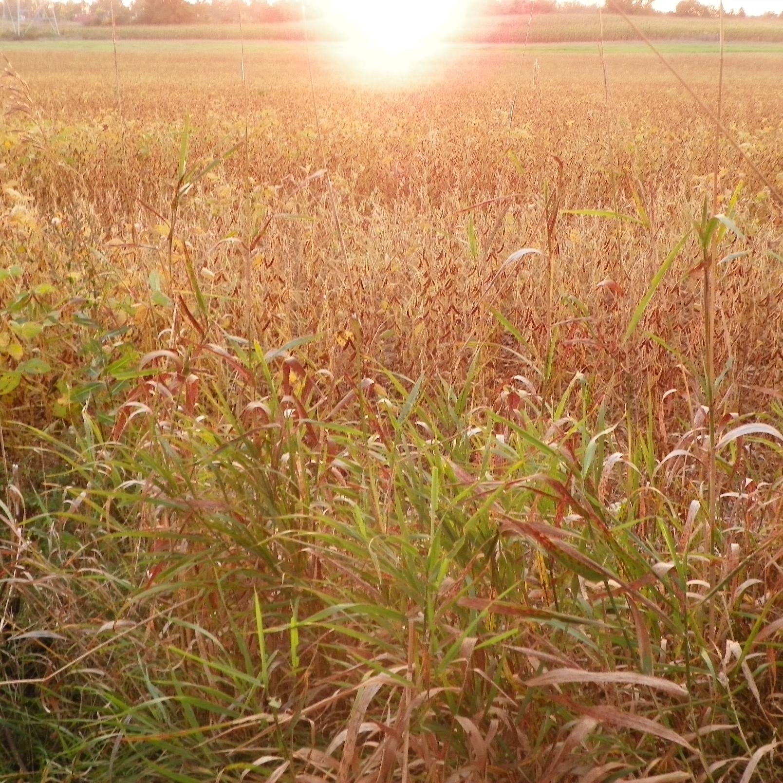 Photos of wildlife, nature, and all things fantastic from my Ozaukee County, Wisconsin backyard