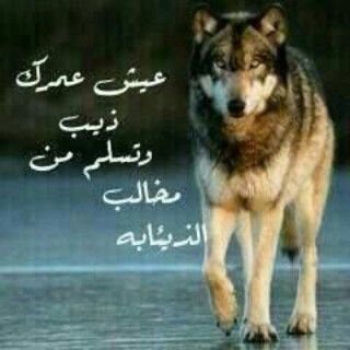 الله يرحم من مات ويطول عمر من هو عايش