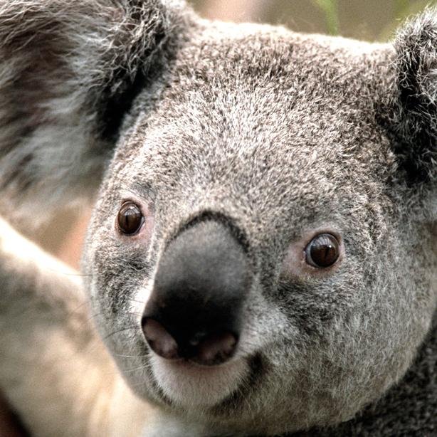 Cientificidade's profile picture. 