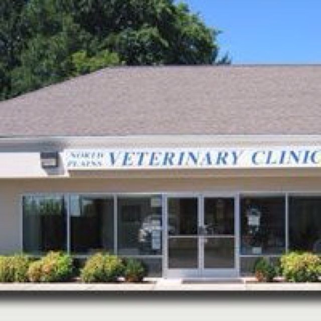 NPVetClinic's profile picture. Pet owners in this area generally look upon their pets as members of their families. We feel the same way.