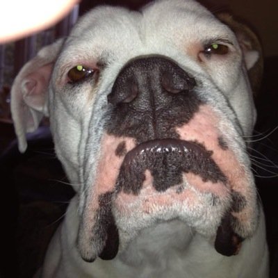 cchase7's profile picture. 