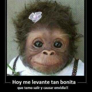 ser feliz