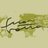 _FuoriRotta_'s profile image