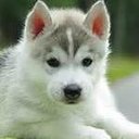 Alicia Michelle Paul - @nicole_clair - Twitter