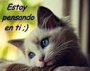 te amo