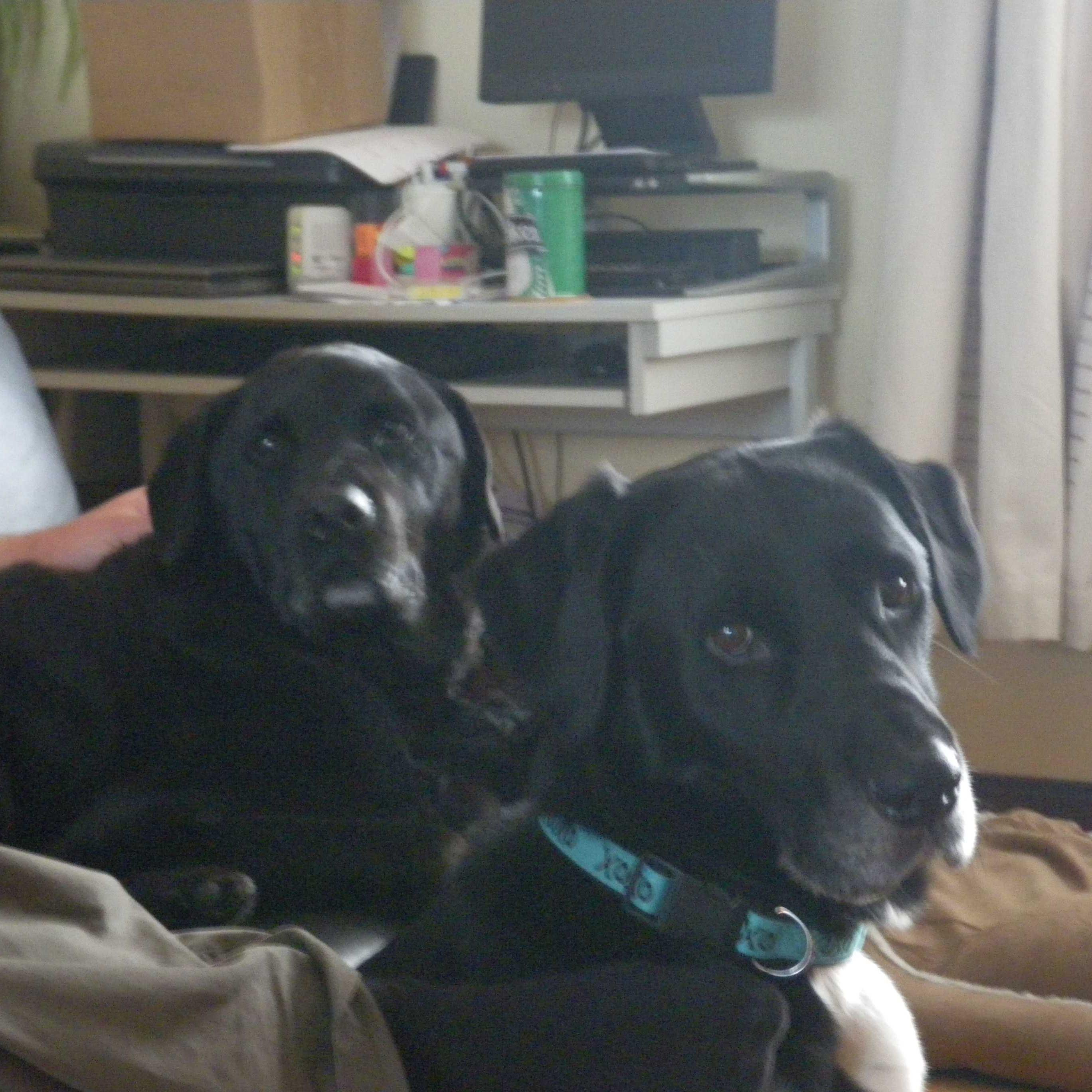 athos61370's profile picture. 