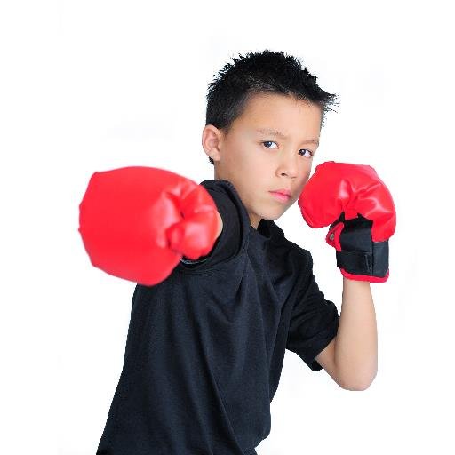 Our mission is to educate/empower parents of amateur boxers and to advocate for the safety of protecting our youth from concussions and other injuries.
