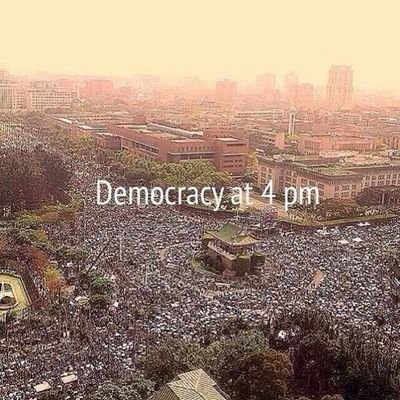 ViboZhou's profile picture. 