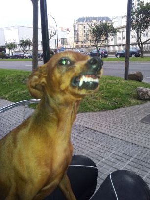 a jranel