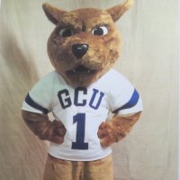 Roary Lions (@whereisroary1) 's Twitter Profile