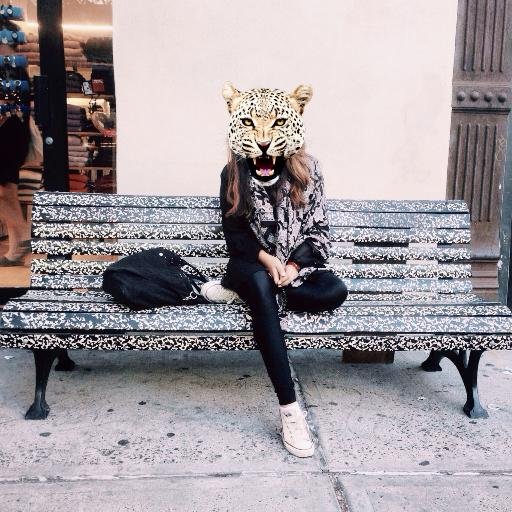 New York Kitty