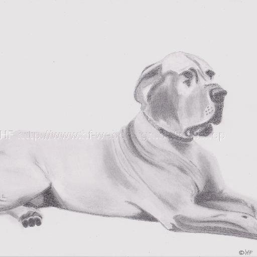 PortrettenHF's profile picture. PortrettekenaresHeidi: Graag maak ik voor u een portrettekening van uzelf, uw (klein-) kinderen, uw geliefde, vriend(-in) of huisdier. http://t.co/H0alyWPms9