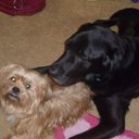 Eileen Priest - @EileenPriest1 - Twitter