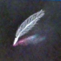 crow_quill's profile picture. 