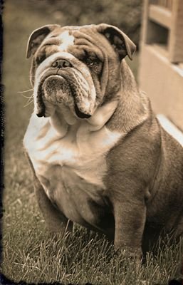 geezy1970's profile picture. investor, challenger, competitive, POSITIVE ATTITUDE, Eager to learn something new