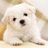 Lily806ems's profile image