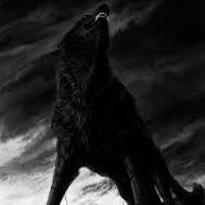 Xynder//Female//Loner

Find me on Wolf-Haven as Cane

Blehh