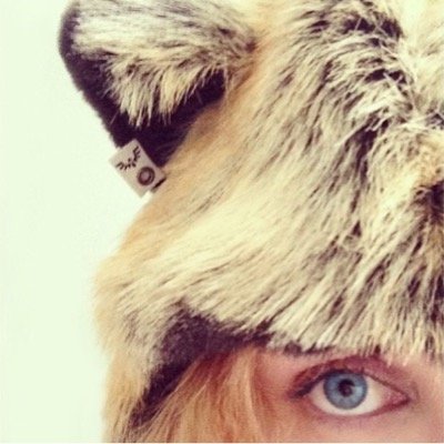 JessGoggin's profile picture. New(ish) to twitter :) follow me!!!!! gamer, dog lover, tech head, serial tv series watcher :)