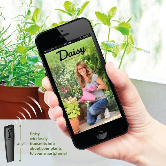 TheDaisyApp's profile picture. Daisy is a free iOS application which allows the user to manage their potted plants. Check out our #kickstarter here: http://t.co/MAGaBtRiLU