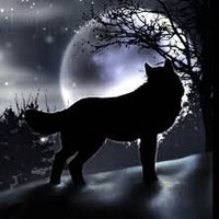 Ren (@animallover162) 's Twitter Profile