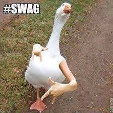 1simplesolution's profile picture. 