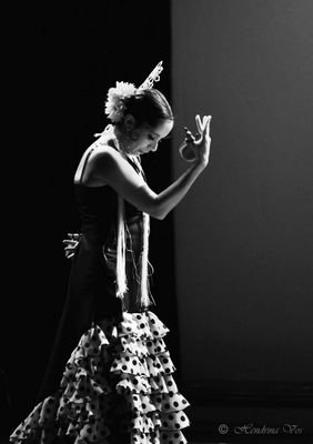 Pretoria, South Africa, based Spanish Dance studio and company.