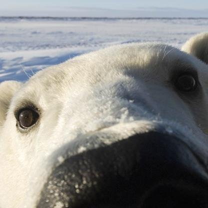 nunovyerbizniz's profile picture. 