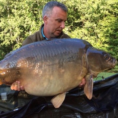 HertsElectrical's profile picture. 