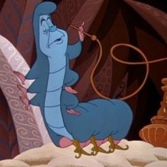 SRHookahLounge's profile picture. The only hookah lounge conveniently located in the heart of Oak Ridge. Are you 18+ and looking for a full hookah experience? Come to Smoke Ridge Hookah Lounge