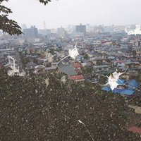 旭川研究フィールド (@swampingriver) 's Twitter Profile