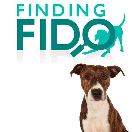 FidoKN Profile