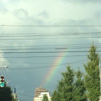 ナルナル (@sea_sidejetcity) 's Twitter Profile