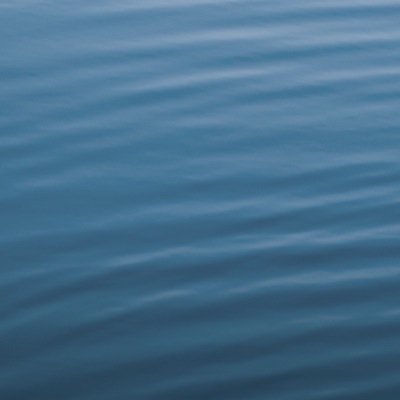هلالي بالفطره ، زعيم بالفطره ، المتابعه للزعماء