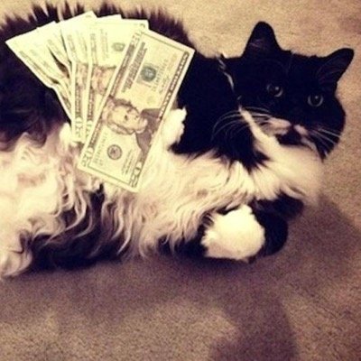 Mildred Borthwall or Milly Cakes, I'm a cat, I seek the lavish life and I tweet out my inner most thoughts.. Why? Meow.