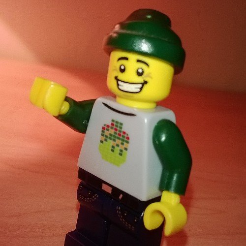 Living in lego city,