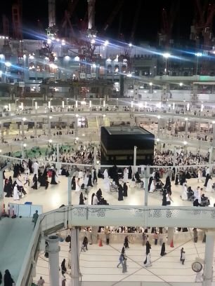 الحبيب