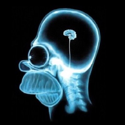 bjluca's profile picture. ...Quello che siamo, e' il risultato di cio' che pensiamo...