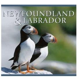 NFLDLABRADOR's profile picture. Highlighting, educating, and promoting all things Newfoundland and Labrador #FINDYOURSELFHERE