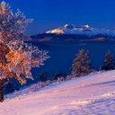 sharon pomeroy - @sharonpomeroy60 - Twitter